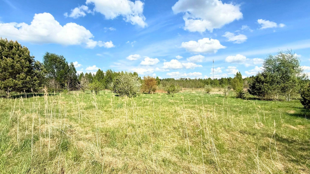 Parduodamas sklypas Pievų g., Lukošiškių k., Jonavos r. sav., 43.39 a ploto 5