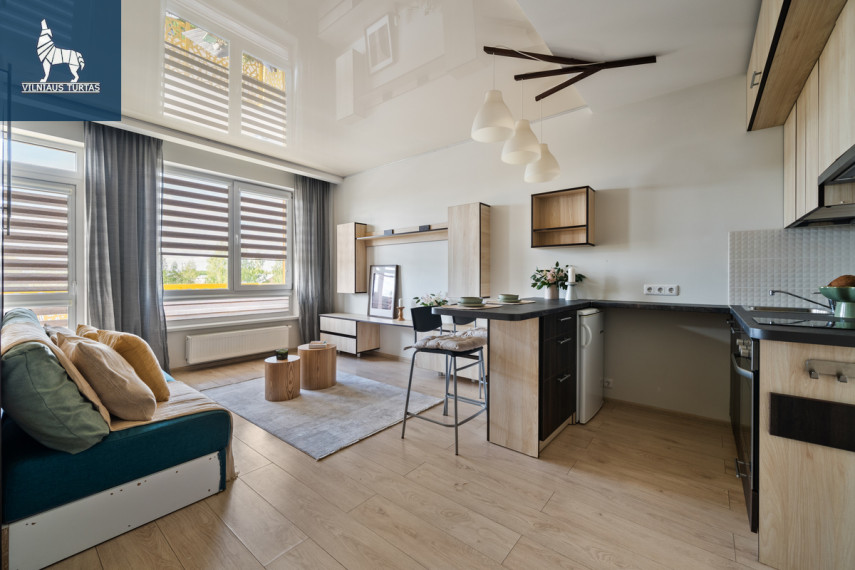 Parduodamas butas Eišiškių pl., Burbiškės, Vilniaus m., Vilniaus m. sav., 28.56 m2 ploto, 1 kambariai 10