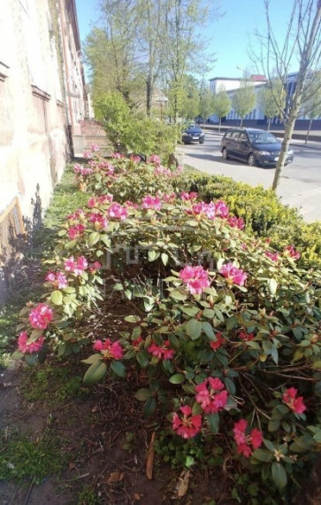 Parduodamas butas I. Kanto g., Centras, Klaipėdos m., Klaipėdos m. sav., 42 m2 ploto, 2 kambariai 9