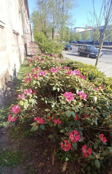 Parduodamas butas Klaipėdos apskritis, Klaipėda, Senamiestis, I. Kanto g., 42 m2 ploto, 2 kambariai 24