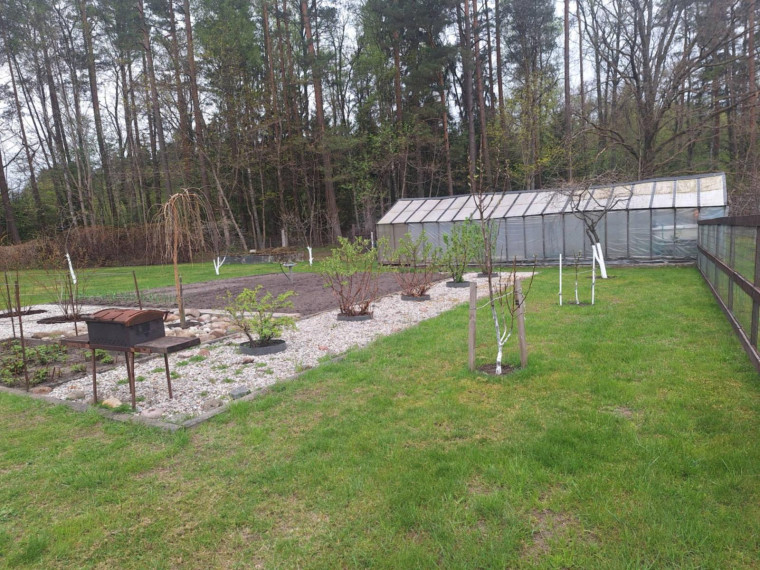 Parduodamas namas Lingių k., Klaipėdos r. sav., 84.00 m² ploto 3 kambariai 2