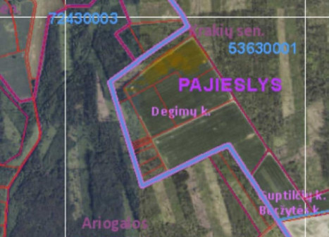 Parduodamas sklypas Degimų k., Kėdainių r. sav., 1063.00 a ploto Parduodamas sklypas Degimų k., Kėdainių r. sav., 1063.00 a ploto