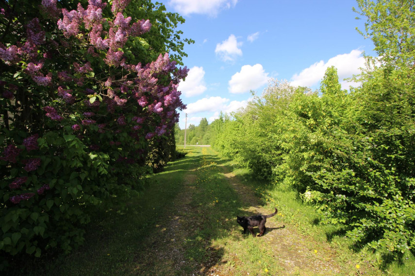 Parduodamas namas Jovarų g., Patašinės k., Šakių r. sav., 111.89 m² ploto 6 kambariai 26