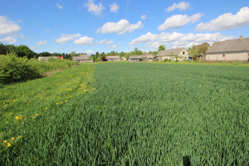 Parduodamas namas Jovarų g., Patašinės k., Šakių r. sav., 111.89 m² ploto 6 kambariai 29