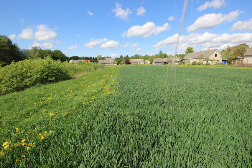 Parduodamas namas Jovarų g., Patašinės k., Šakių r. sav., 111.89 m² ploto 6 kambariai 30