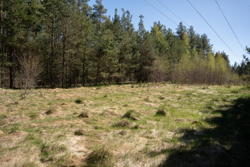 Parduodamas  sklypas Paluknės g., Rūdiškių m., Trakų r. sav., 15 a ploto 7