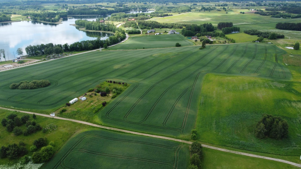 Parduodamas sklypas Daugų g., Davainiškių k., Alytaus r. sav., 36.00 a ploto 10