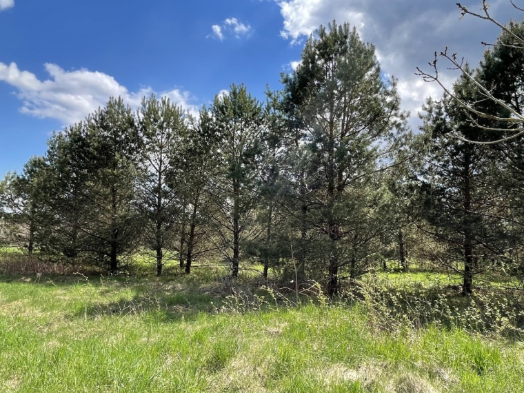 Parduodamas namas Kasčiukų g., Kasčiukų k., Švenčionių r. sav., 78.3 m2 ploto, 1 aukštai 10