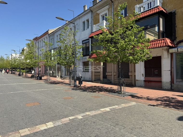 Nuomojamas butas Vilniaus g., Centras, Šiaulių m., Šiaulių m. sav., 67.85 m2 ploto, 2 kambariai 5