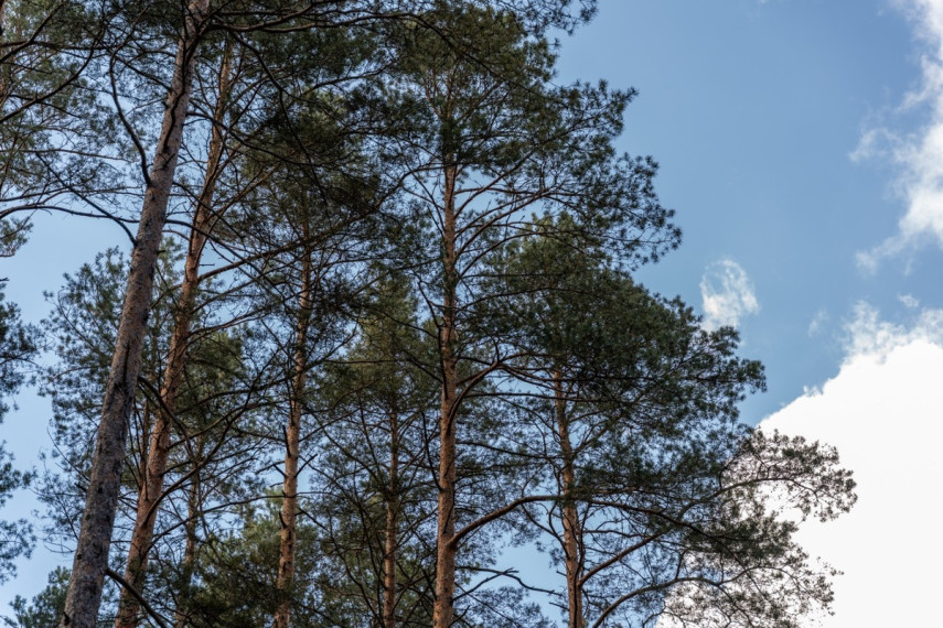 Parduodamas  sklypas Balžio g., Vilniaus m., Vilniaus m. sav., 27.7 a ploto 14