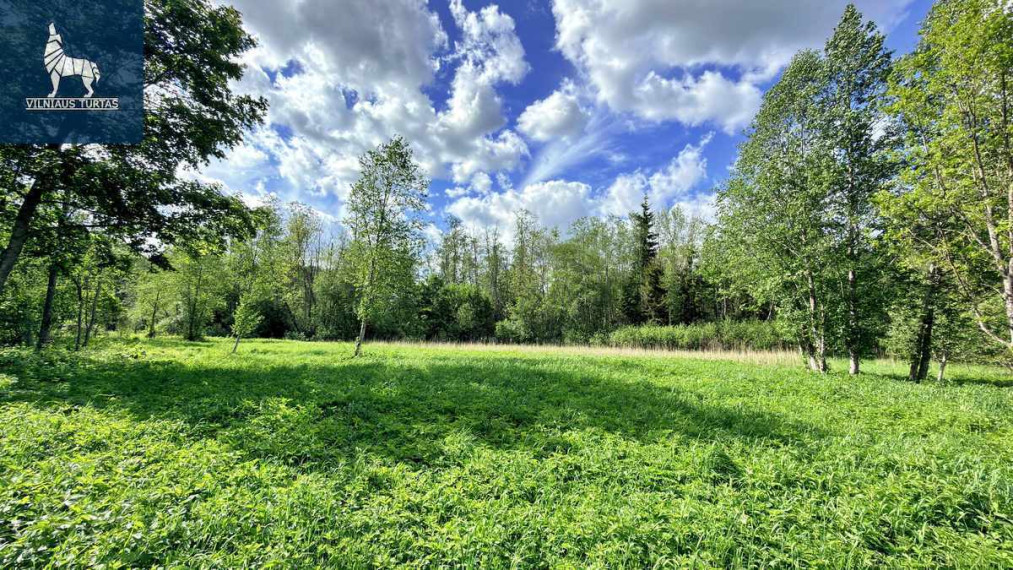 Parduodamas  sklypas Navasiolkų II k., Širvintų r. sav., 195.34 a ploto 2
