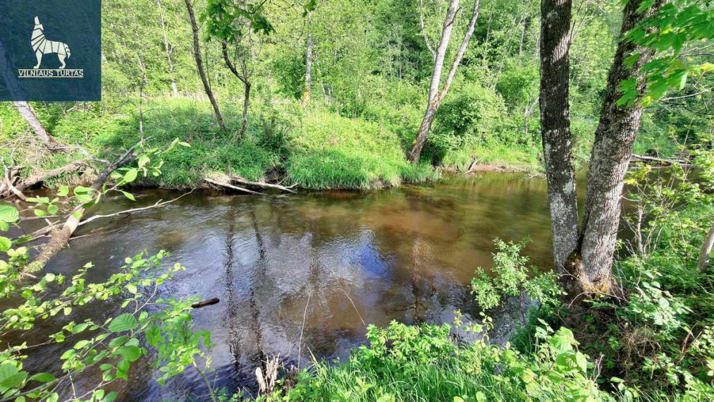 Parduodamas  sklypas Navasiolkų II k., Širvintų r. sav., 195.34 a ploto 1