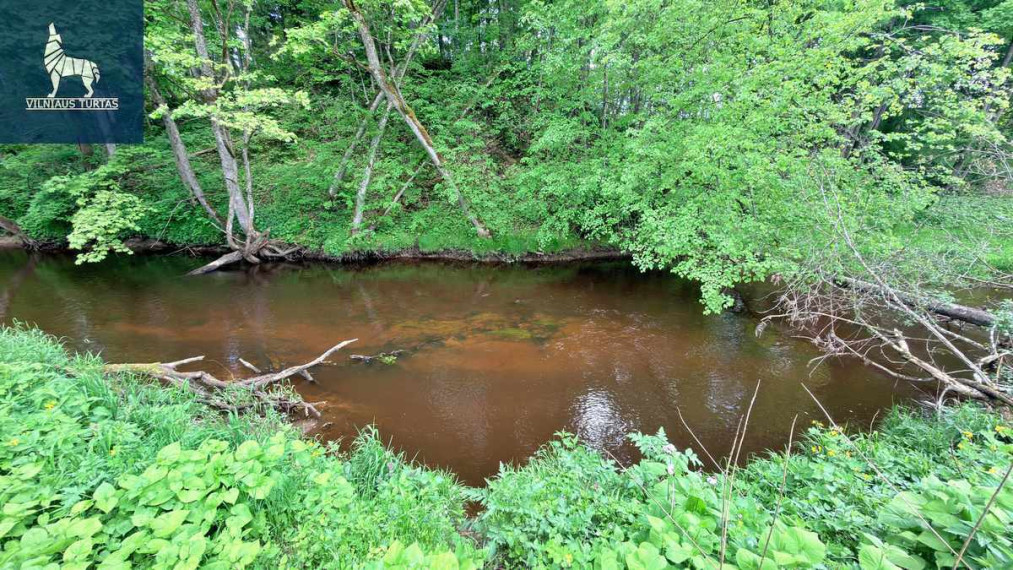 Parduodamas  sklypas Navasiolkų II k., Širvintų r. sav., 195.34 a ploto 4