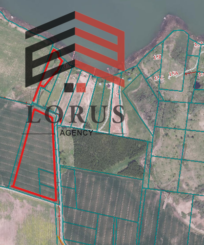 Parduodamas  sklypas Kaniūkų g., Daugirdėlių k., Alytaus r. sav., 355 a ploto 24