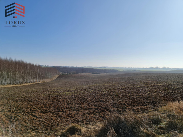 Parduodamas  sklypas Kaniūkų g., Daugirdėlių k., Alytaus r. sav., 355 a ploto 30