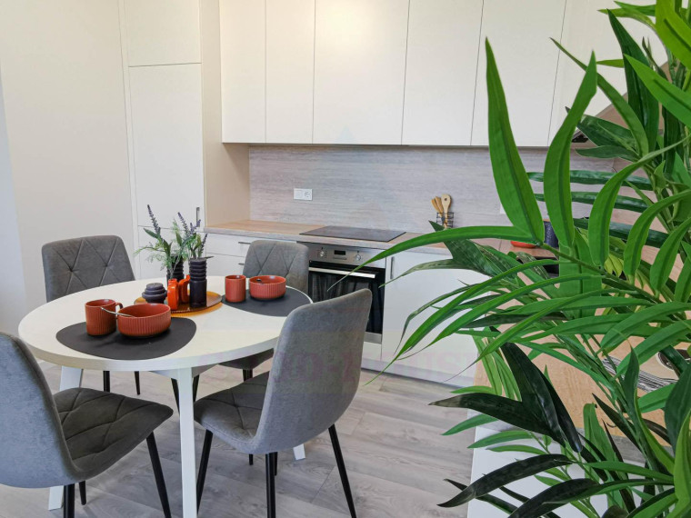 Parduodamas butas Rygos g., Justiniškės, Vilniaus m., Vilniaus m. sav., 45.91 m² ploto 2 kambariai 2