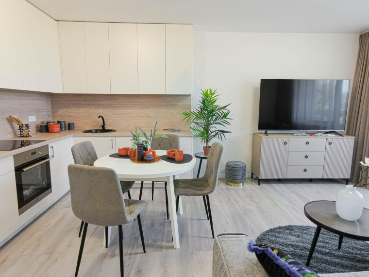 Parduodamas butas Rygos g., Justiniškės, Vilniaus m., Vilniaus m. sav., 45.91 m² ploto 2 kambariai 11