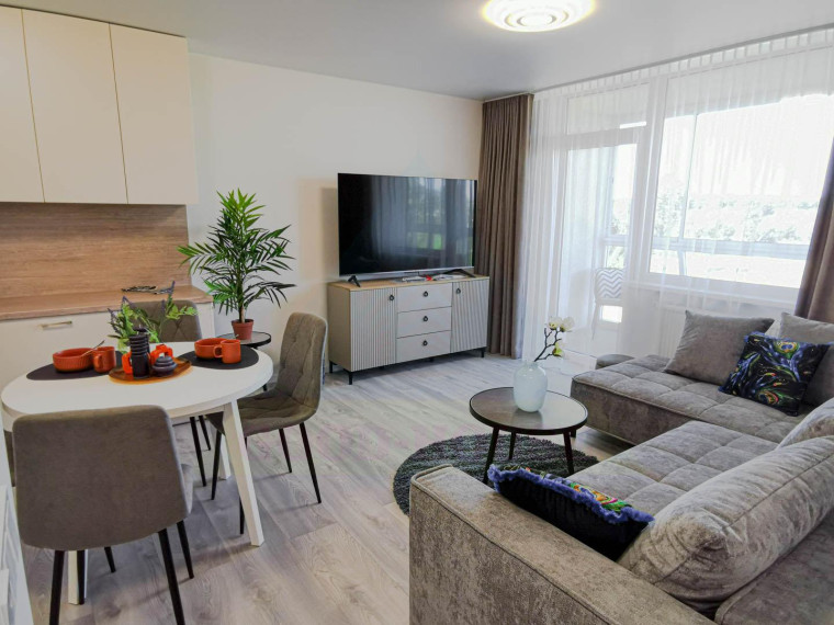 Parduodamas butas Rygos g., Justiniškės, Vilniaus m., Vilniaus m. sav., 45.91 m² ploto 2 kambariai 4