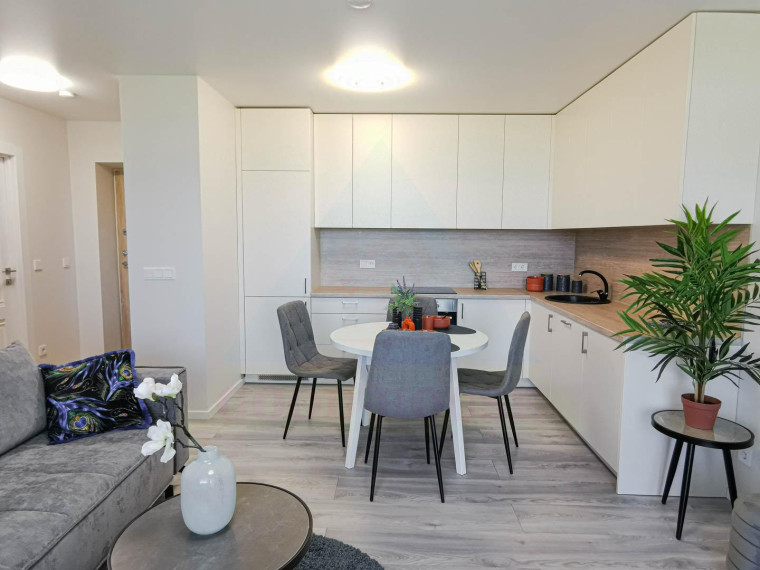 Parduodamas butas Rygos g., Justiniškės, Vilniaus m., Vilniaus m. sav., 45.91 m² ploto 2 kambariai 7