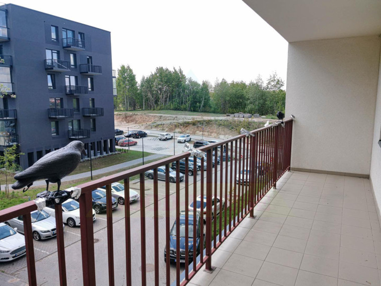 Parduodamas butas Rygos g., Justiniškės, Vilniaus m., Vilniaus m. sav., 45.06 m² ploto 2 kambariai 6
