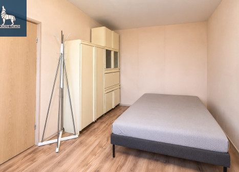 Nuomojamas butas Žirmūnų, Žirmūnai, Vilniaus m., Vilniaus m. sav., 30 m2 ploto, 1 kambariai