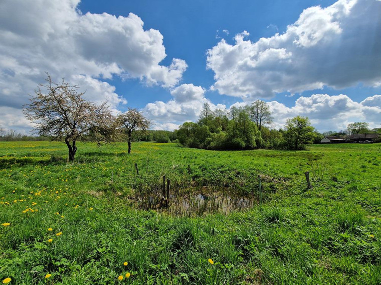 Parduodamas namas Ruklių k., Utenos r. sav., 58.00 m² ploto 3 kambariai 27