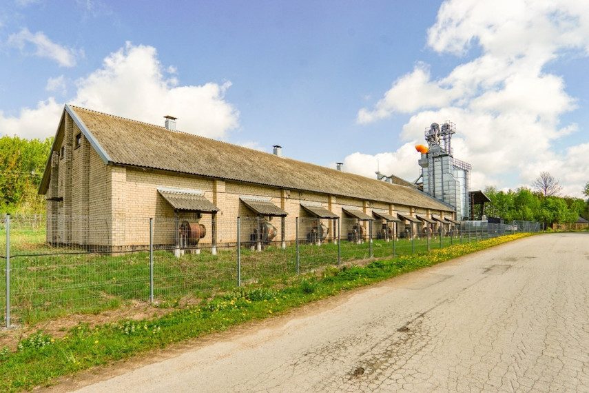 Parduodamos sandėliavimo patalpos Julijono Lindės-Dobilo g., Grūžių k., Pasvalio r. sav., 675.2 m2 ploto 11