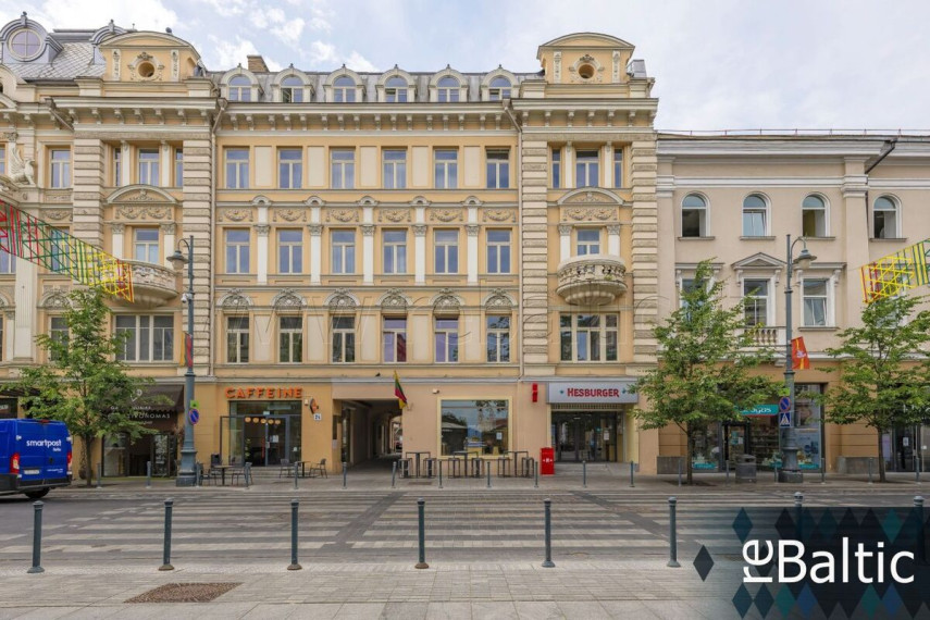 Nuomojamas butas Gedimino pr., Vilniaus m., Vilniaus m. sav., 50 m2 ploto, 2 kambariai 24