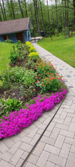 Parduodamas namas Žalioji g., Milioniškės k., Varėnos r. sav., 250.00 m² ploto 7 kambariai 2