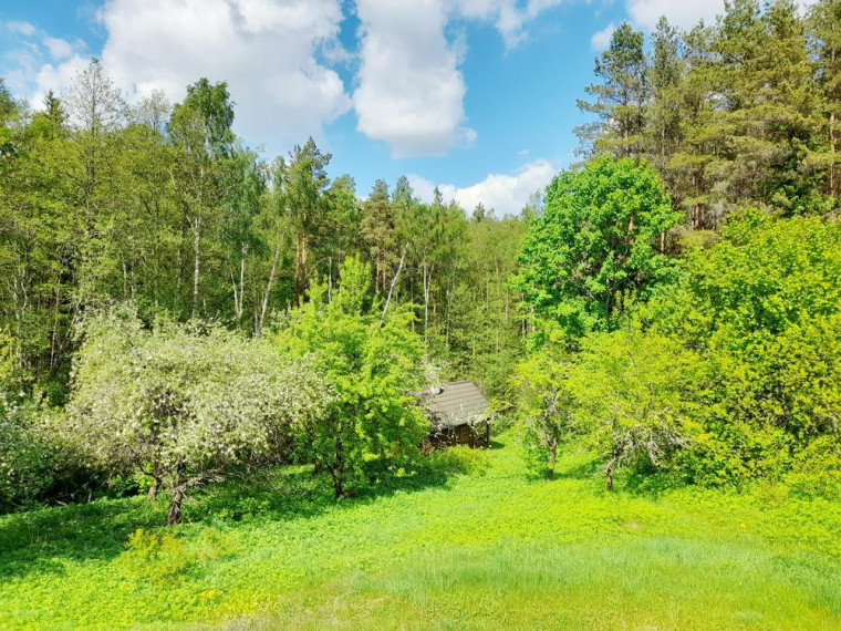 Parduodamas namas Bacioniškio vs., Zarasų r. sav., 163.00 m² ploto 6 kambariai 22