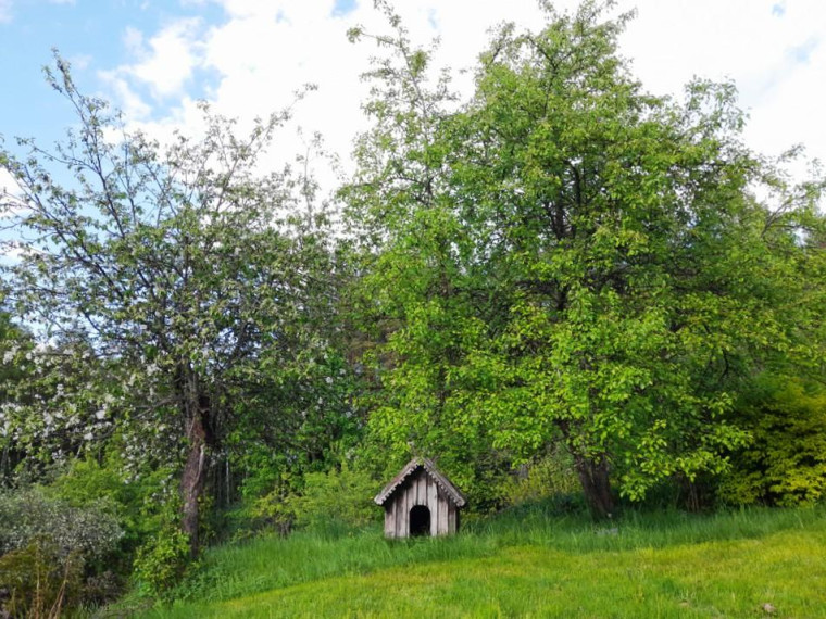 Parduodamas namas Bacioniškio vs., Zarasų r. sav., 163.00 m² ploto 6 kambariai 24