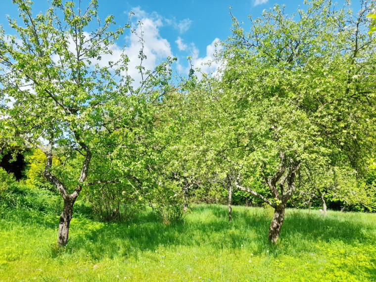 Parduodamas namas Bacioniškio vs., Zarasų r. sav., 163.00 m² ploto 6 kambariai 25