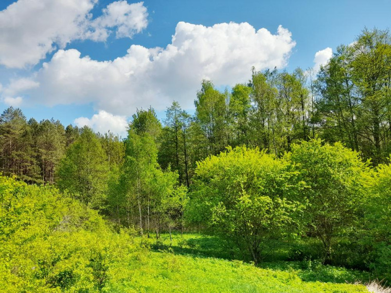 Parduodamas namas Bacioniškio vs., Zarasų r. sav., 163.00 m² ploto 6 kambariai 26