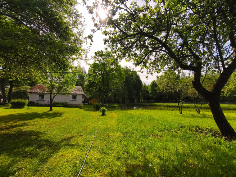 Parduodamas namas Kalvelių k., Anykščių r. sav., 87 m² ploto 4 kambariai 23