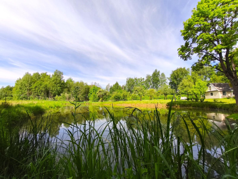 Parduodamas namas Kalvelių k., Anykščių r. sav., 87 m² ploto 4 kambariai 25