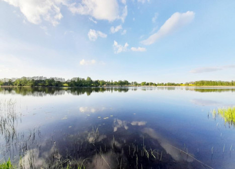Parduodamas namas Vaineikių k., Rokiškio r. sav., 73.23 m² ploto 2 kambariai Parduodamas namas Vaineikių k., Rokiškio r. sav., 73.23 m² ploto 2 kambariai