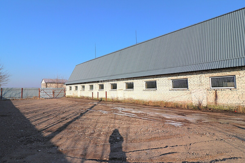 Nuomojamos kitos paskirties, sandėliavimo patalpos Fermų g. , Velželio k., Panevėžio r. sav., 450 m2 ploto 8