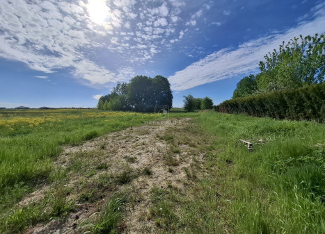 Parduodamas sklypas Trušelių k., Klaipėdos r. sav., 33 a ploto Parduodamas sklypas Trušelių k., Klaipėdos r. sav., 33 a ploto