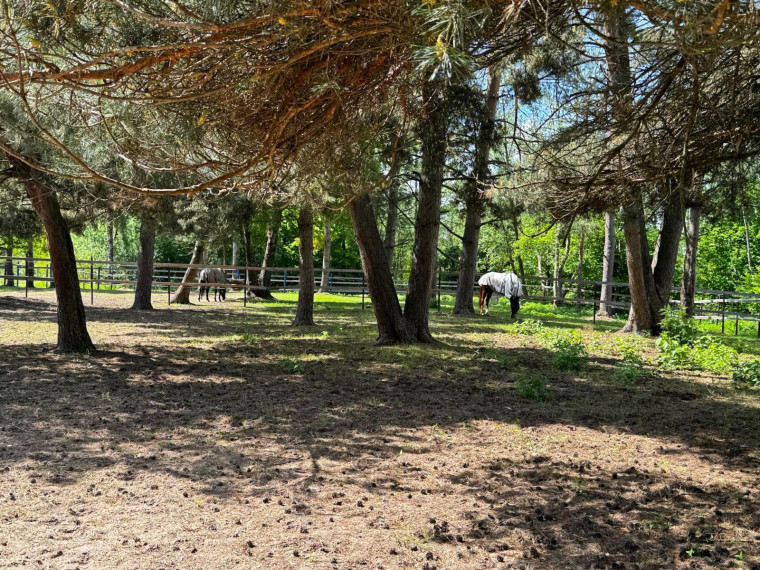 Parduodamos patalpos Pramonės g., Meškonių k., Jonavos r. sav., 1515 m² ploto 28