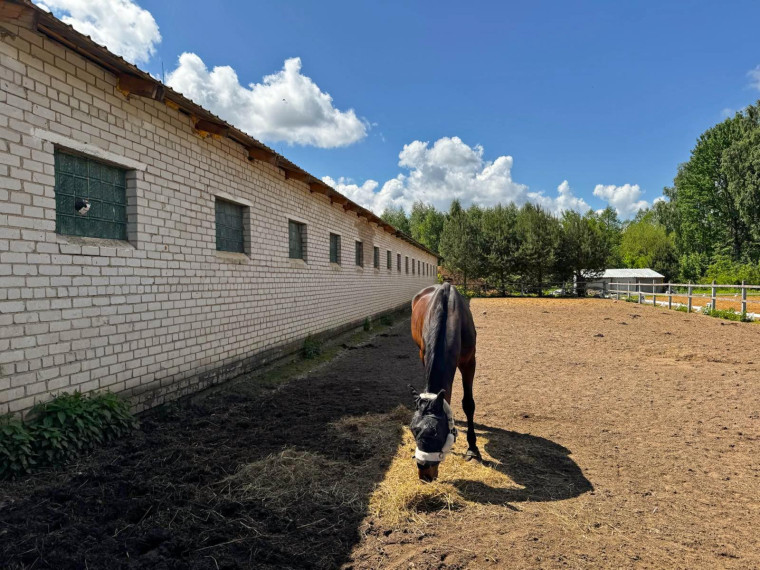 Parduodamos patalpos Pramonės g., Meškonių k., Jonavos r. sav., 1515 m² ploto 30
