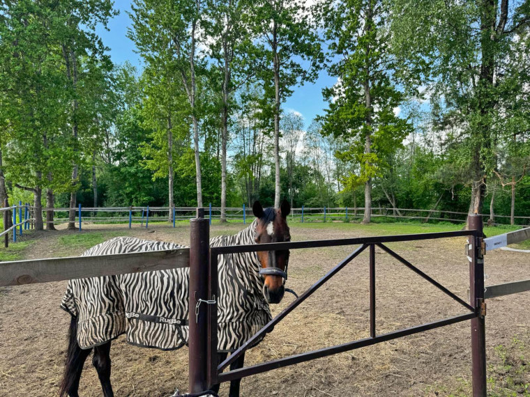 Parduodamos patalpos Pramonės g., Meškonių k., Jonavos r. sav., 1515 m² ploto 5