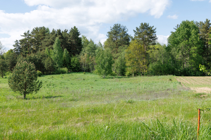 Parduodamas kitos paskirties sklypas Žaizdrių k., Trakų r. sav., 39.2 a ploto 8