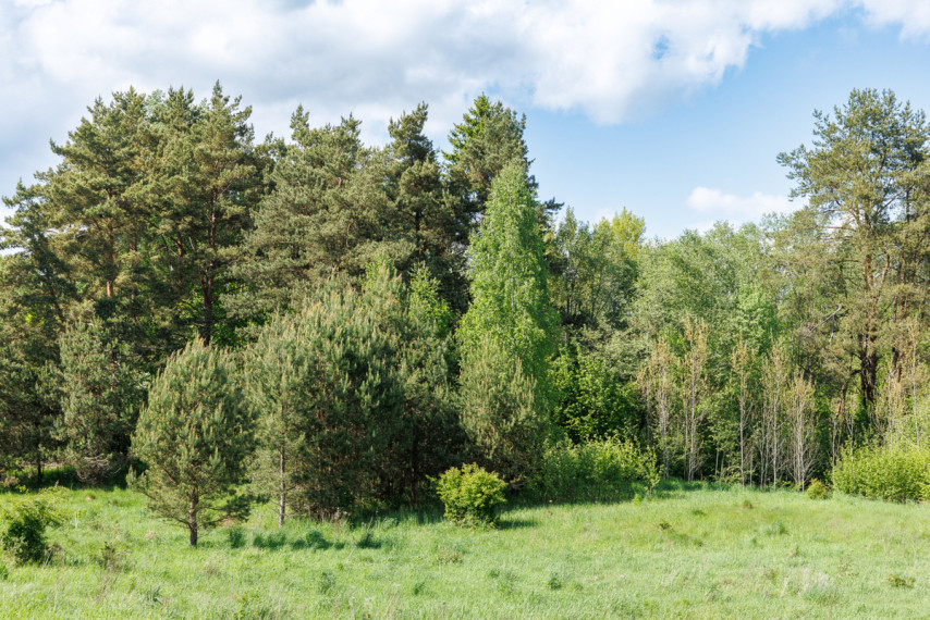 Parduodamas kitos paskirties sklypas Žaizdrių k., Trakų r. sav., 39.2 a ploto 10