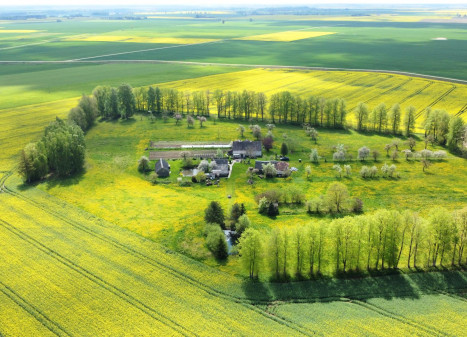 Parduodamas namas Bakainių k., Kėdainių r. sav., 131.68 m² ploto 3 kambariai Parduodamas namas Bakainių k., Kėdainių r. sav., 131.68 m² ploto 3 kambariai