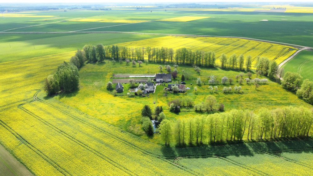 Parduodamas namas Bakainių k., Kėdainių r. sav., 131.68 m² ploto 3 kambariai 1
