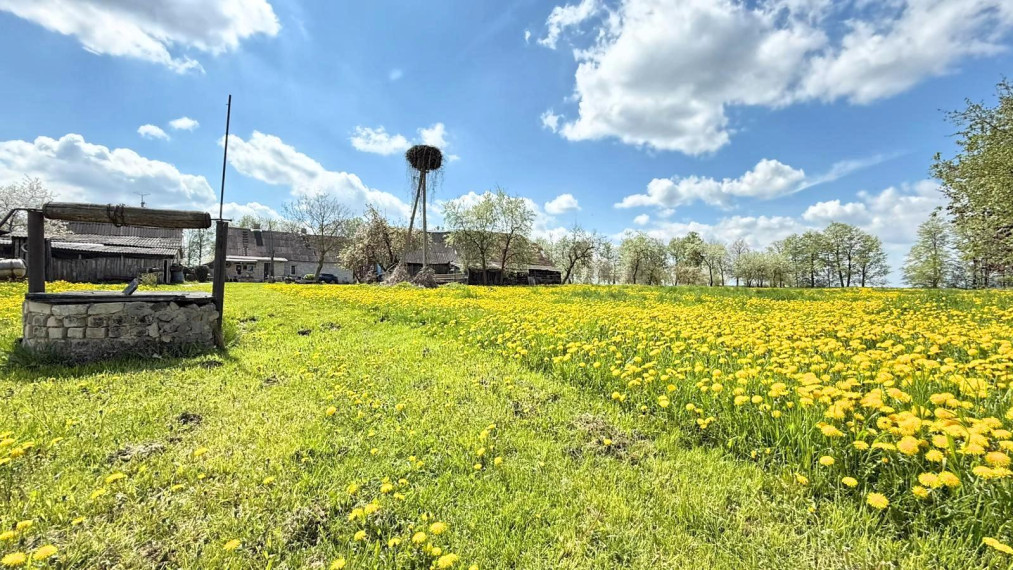 Parduodamas namas Bakainių k., Kėdainių r. sav., 131.68 m² ploto 3 kambariai 15
