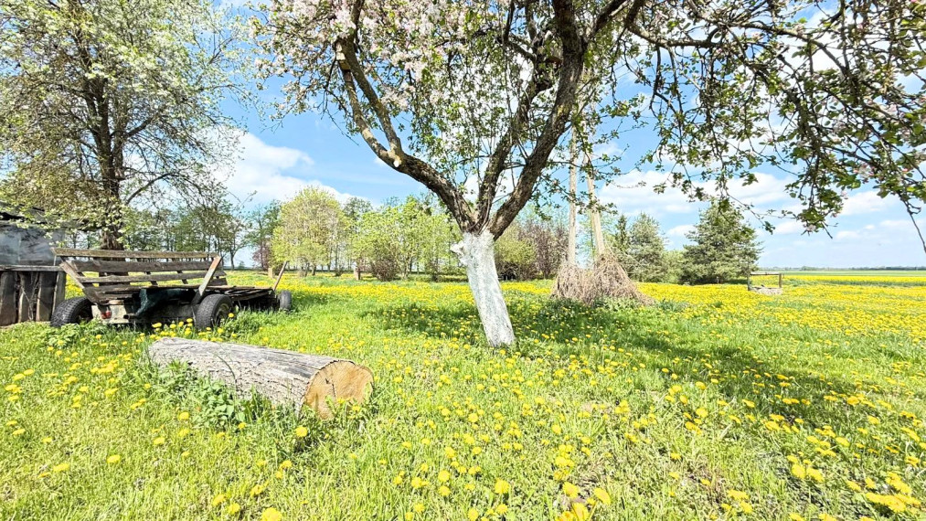 Parduodamas namas Bakainių k., Kėdainių r. sav., 131.68 m² ploto 3 kambariai 16