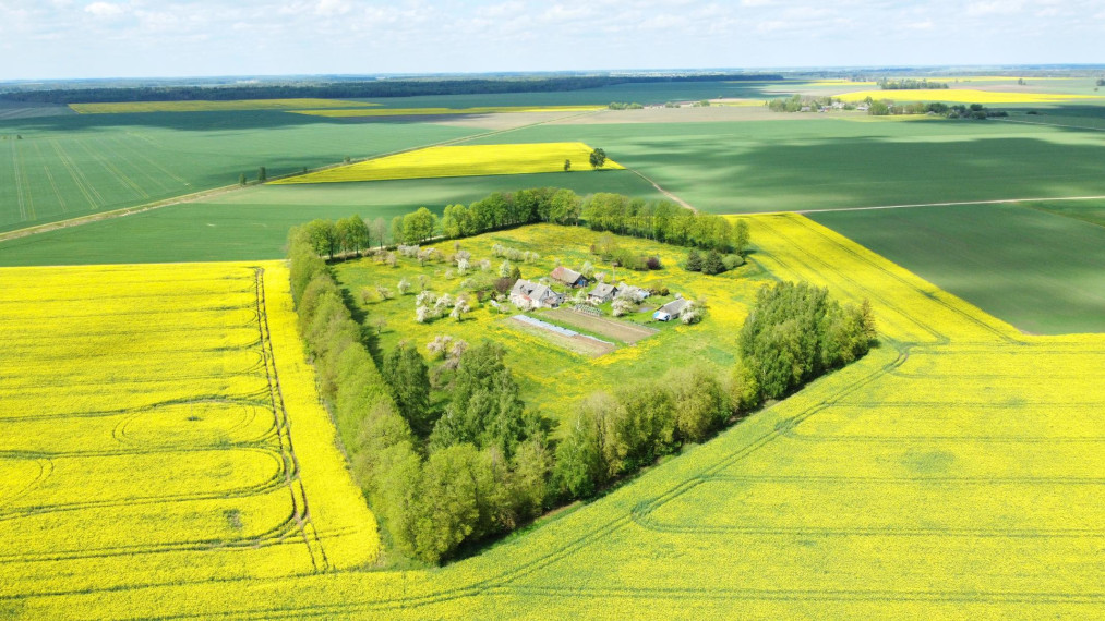 Parduodamas namas Bakainių k., Kėdainių r. sav., 131.68 m² ploto 3 kambariai 4