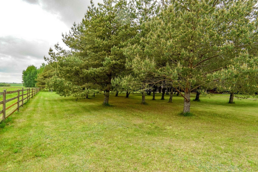 Parduodamas namas Upės g., Kvedariškio k., Biržų r. sav., 130 m2 ploto, 2 aukštai 15