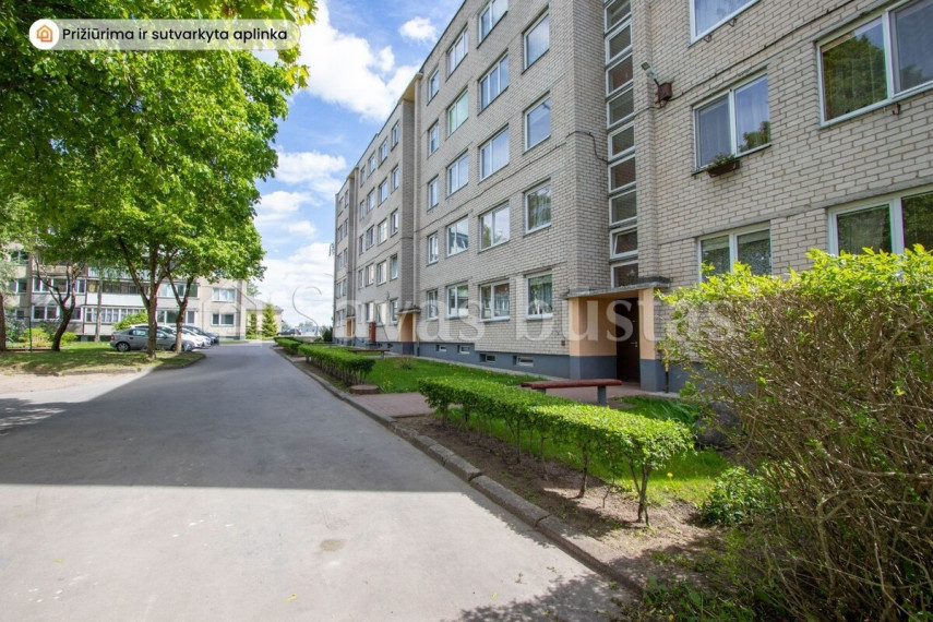 Nuomojamas butas Radviliškio g., Šiaulių m., Šiaulių m. sav., 50 m2 ploto, 2 kambariai 19